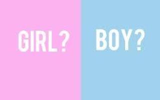 Are You A Boy Or A Girl? >:) >:)