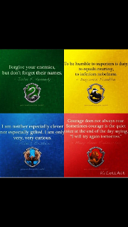 Your Hogwarts Life (2)