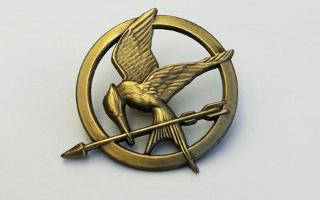 Which Hunger Games Tribute are you? (1)