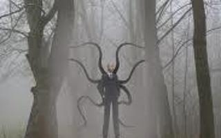 Will Slenderman Kill You If You Were Lost In The Woods At Night?