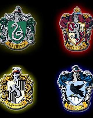 In what Hogwarts House do you belong in?