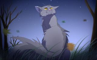 Warrior Cats Hard Quiz!