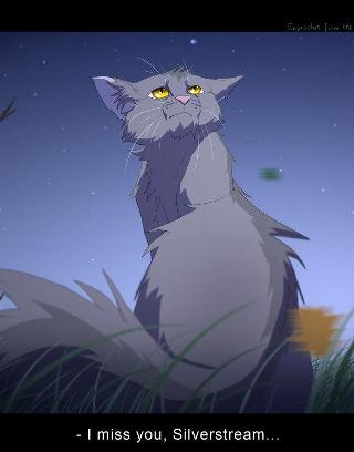 Warrior Cats Hard Quiz!