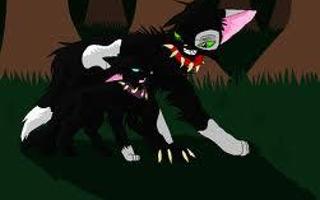 What BloodClan position are you in? (Warrior Cats)