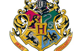 What is your Hogwarts house? (1)