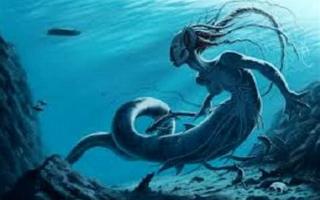 Mystical Mermaids Quiz