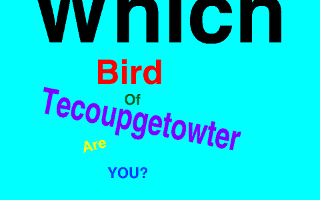 Which Tecoup Bird are you?