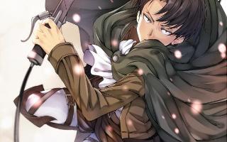 What Does Levi Think Of You ?