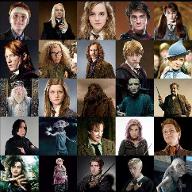 Which Harry Potter character are you? (12)