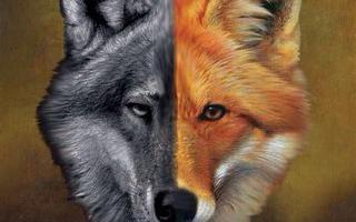 Is your personality a fox or a wolf?