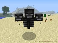 Do you know the Wither?