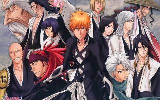 Which Bleach character are you ?