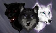 What kind of wolf are you? (3)