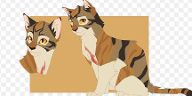 Warrior Cats Quiz- How well do you know Leafstar?