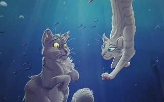 How well do you know Warrior cats? :3