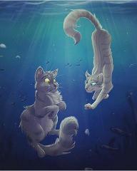 How well do you know Warrior cats? :3