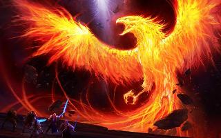 are you a phoenix?