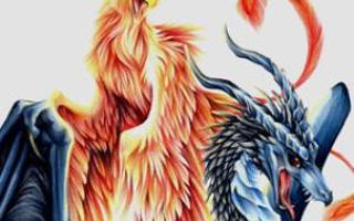 Are you a Dragon or a Phoenix?