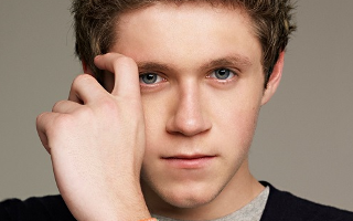 How well do you know Niall Horan? (2)