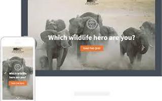 Which Wildlife Hero Are You?