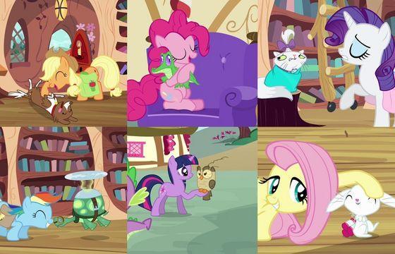 Which MLP Pet are you? Personality Quiz