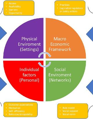 What's Your Food Personality? (4)