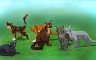 How much do you really know about Warrior cats?