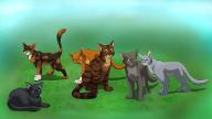 How much do you really know about Warrior cats?