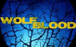 How Well Do You Know Wolfblood?