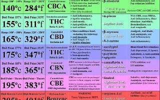 Cannabis Quiz Challenge