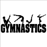 are you a true gymnast