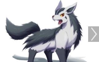 Are you a mightyena?