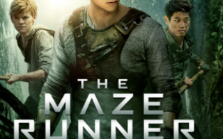 Your maze runner boyfriend!