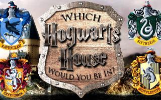 Which Hogwarts house would you be in? (1)