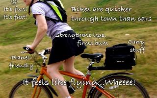 Biking Benefits Quiz