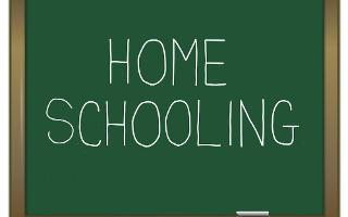 Should you homeschool?