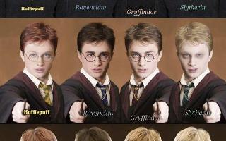 Which Harry Potter Character Are You? (24)