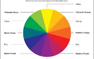 The Secondary Colors Quiz