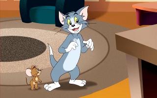 Which Tom and Jerry Character Are You? (2)