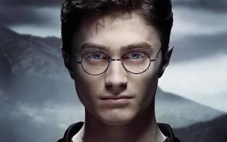 Which Harry Potter Character Are You? (17)