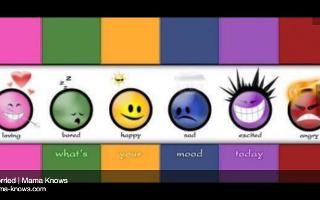 What is your mood? (3)