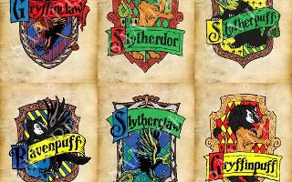 which combined Hogwarts house do you belong in?