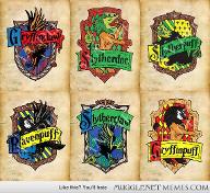 which combined Hogwarts house do you belong in?