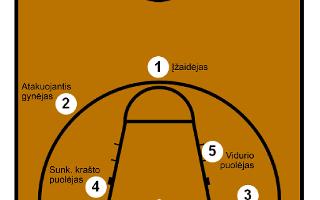 Basketball Positions Quiz