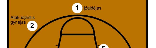 Basketball Positions Quiz