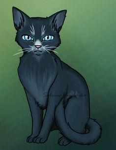 What position are you in Warrior cats? - Personality Quiz