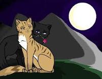 Crowfeather X Leafpool