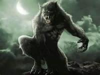 Werewolf