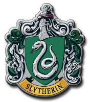 You are in Slytherin!