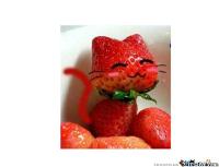 Strawberry Cat